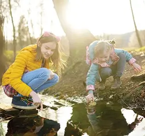 Promos de saison VTF